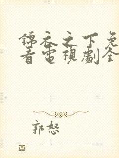 锦衣之下免费观看电视剧全集在线播放