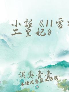 小说《11处特工皇妃》