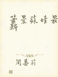 萧晨苏晴最新更新