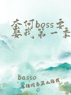 奈何boss要娶我第一季在线观看