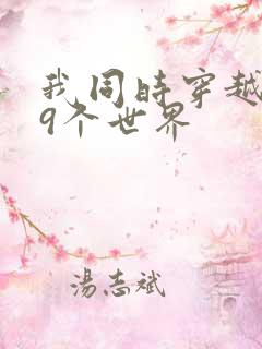 我同时穿越了99个世界