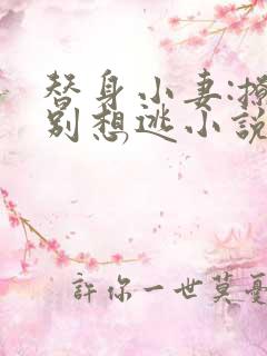 替身小妻:撩完别想逃小说大结局