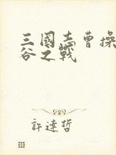 三国志曹操传斜谷之战