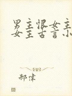 男主恨女主报复女主古言小说