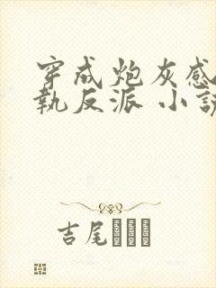 穿成炮灰感化病执反派 小说