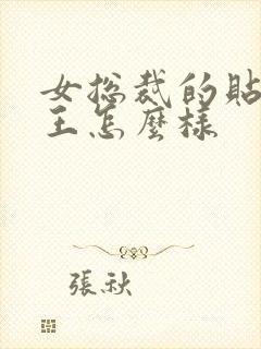 女总裁的贴身兵王怎么样