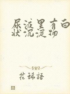 尿液里有白色絮状沉淀物