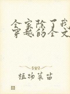 全家除了我都是穿越的全文阅读