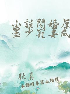 小说闪婚厚爱:墨少宠妻成瘾