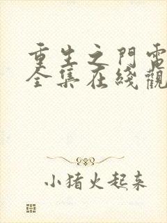 重生之门电视剧全集在线观看