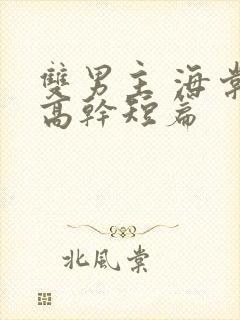 双男主 海棠 高干短篇