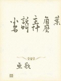 小说主角叶辰书名叫什么