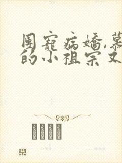 团宠病娇,慕少的小祖宗又凶又撩小说下载