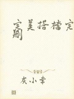 完美搭档完整未删