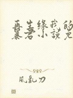 再生缘我的温柔暴君小说免费阅读