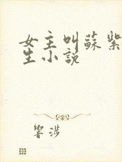 女主叫苏紫的重生小说