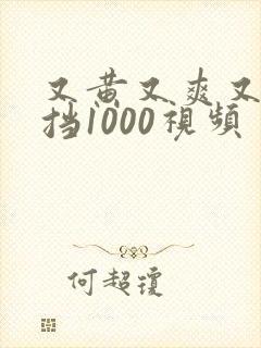 又黄又爽又无遮挡1000视频