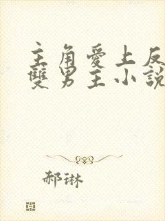 主角爱上反派的双男主小说