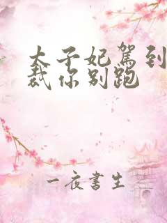 太子妃驾到,总裁你别跑