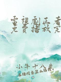 电视剧正者无敌免费播放完整版全集