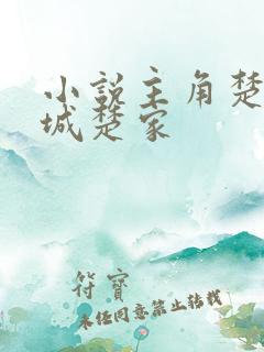 小说主角楚风京城楚家