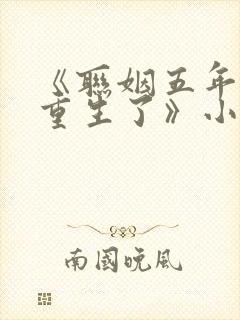 《联姻五年后她重生了》小说