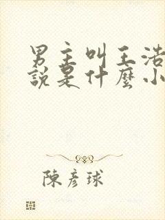 男主叫王浩的小说是什么小说