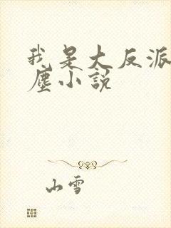 我是大反派陆无尘小说