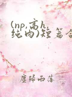 (np,高h,纯肉)短篇合集