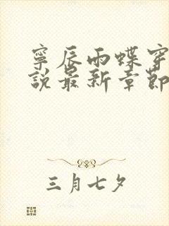 宁辰雨蝶穿越小说最新章节列表