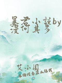 暴君小说by漫漫何其多