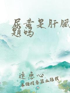 尿黄是肝脏的问题吗