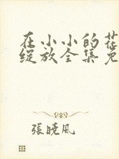 在小小的花蕾里绽放全集免费观看