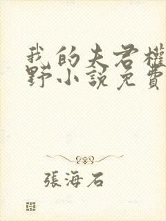 我的夫君权倾朝野小说免费阅读全文