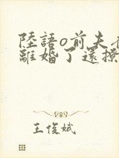 陆语o前夫夜袭离婚了还撩我结局