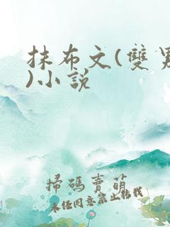 抹布文(双男主)小说