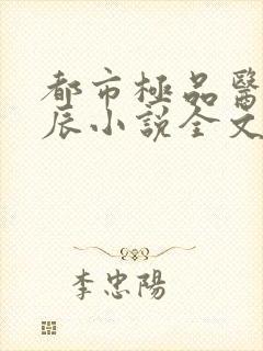 都市极品医神叶辰小说全文阅读