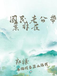 国民老公带回家 叶非夜