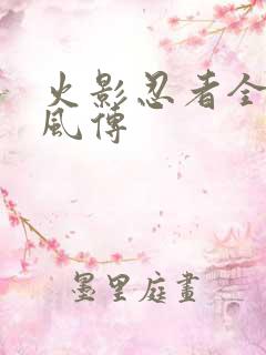 火影忍者全集疾风传