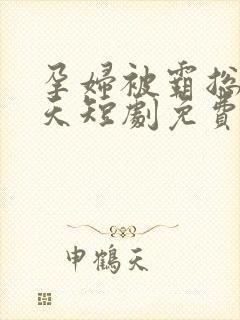 孕妇被霸总宠上天短剧免费观看全集