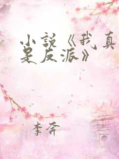 小说《我真的不是反派》