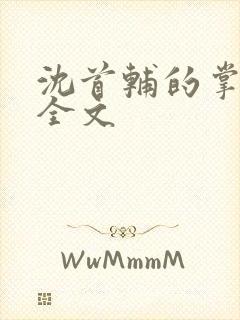 沈首辅的掌上娇全文