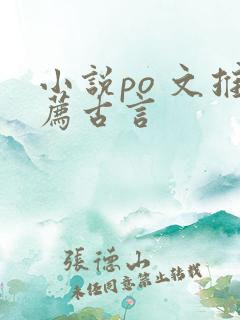 小说po 文推荐古言