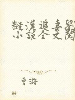 糙汉追妻刘奎元小说全文阅读