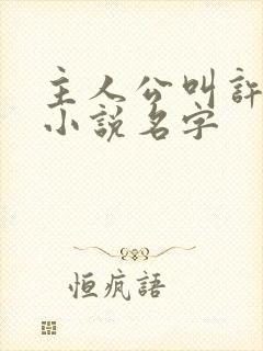 主人公叫许安的小说名字