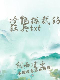 冷艳总裁的超级狂兵txt