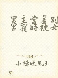 男主当着别人的男宠时被女主发现