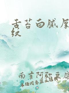 舌苔白腻厚有裂纹