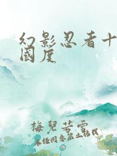 幻影忍者十六个国度