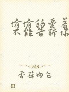 偷偷的爱着你却不能告诉你